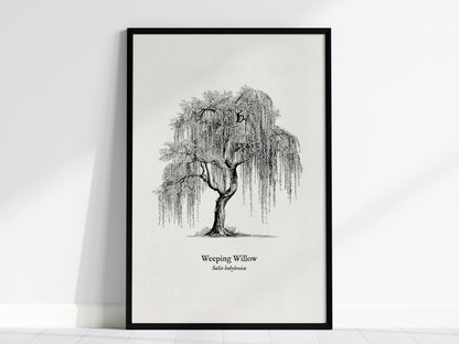 Feature 01 24X36