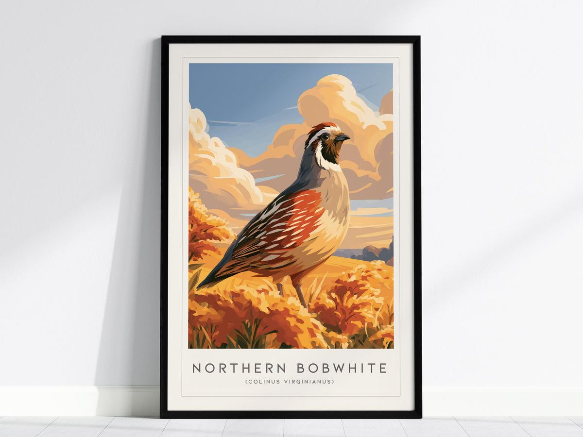 Northern Bobwhite, Colinus virginianus Poster | Quail Bird Wall Art Wildlife Print — framed wall art, 24x36 in
