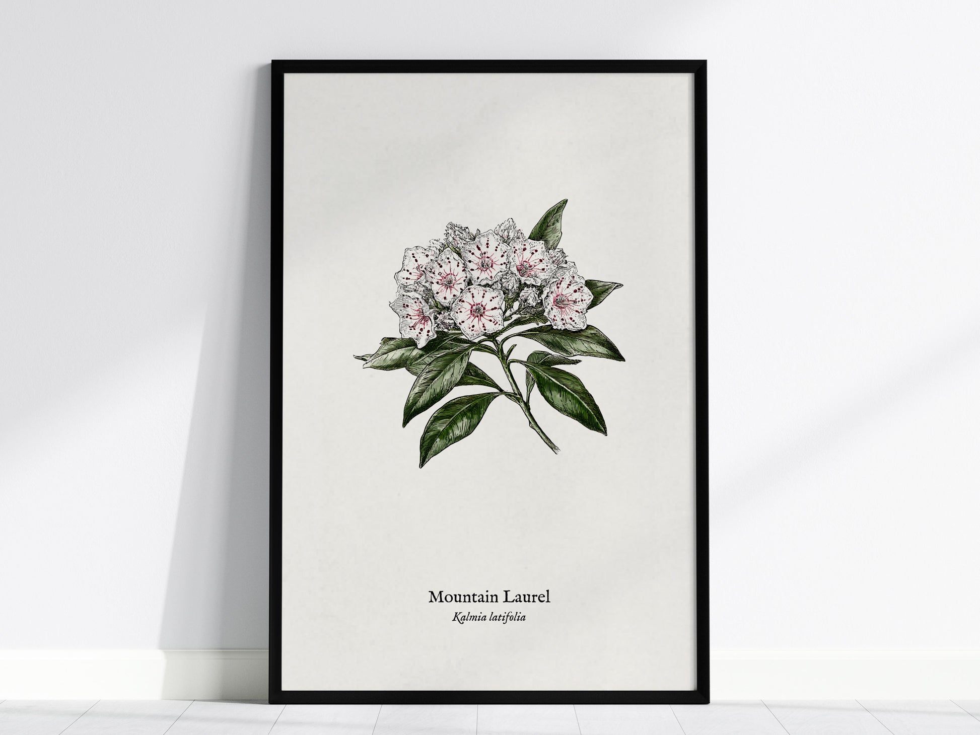 Mountain Laurel Poster | Kalmia latifolia Pen and Ink Print Vintage Botanical Illustration — framed wall art, 24x36 in