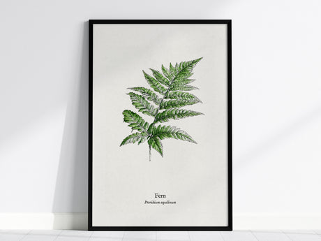 Fern Poster | Pteridium aquilinum Vintage Pen and Ink Print Scientific Illustration Wall Art — framed wall art, 24x36 in