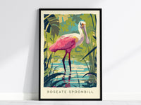 Roseate Spoonbill Art