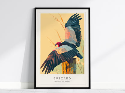 Buzzard, Cathartes aura Poster | Turkey Vulture Bird Wall Art — framed wall art, 24x36 in