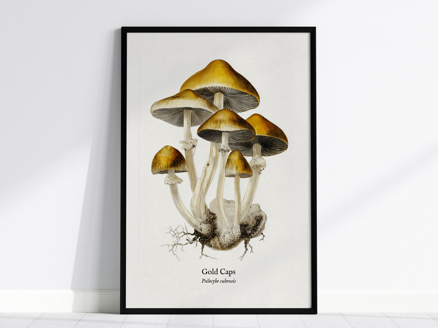 Feature 01 24X36