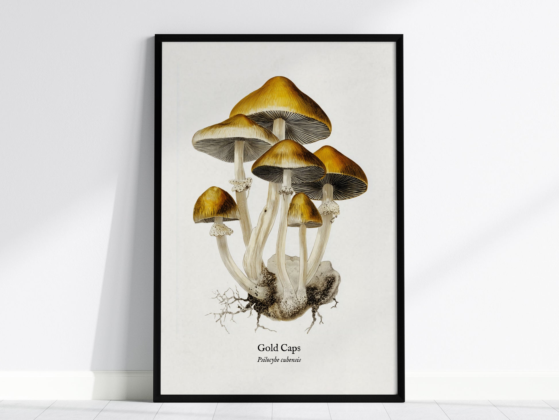 Feature 01 24X36