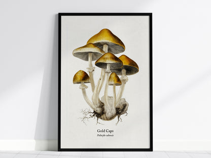 Feature 01 24X36
