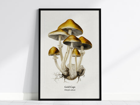 Feature 01 24X36
