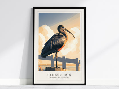 Glossy Ibis Poster | Iridescent Wading Bird Nature Wall Art — framed wall art, 24x36 in