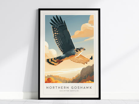 Northern Goshawk, Accipiter gentilis Poster | Fierce Raptor Bird Wall Art — framed wall art, 24x36 in