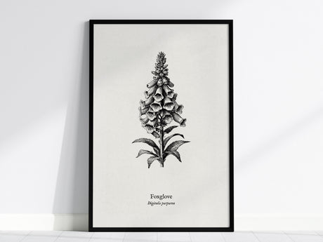 Foxglove Poster | Digitalis purpurea Pen and Ink Print | Vintage Botanical Illustration Wall Art — framed wall art, 24x36 in