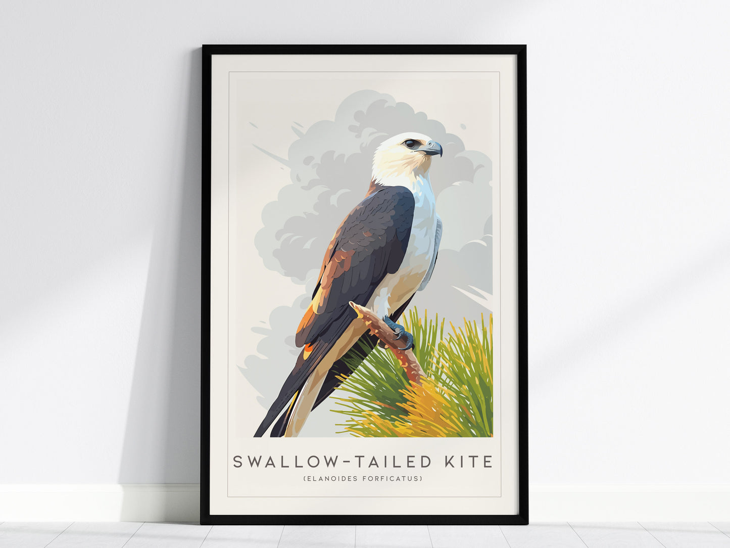 Swallow-tailed Kite Poster | Graceful Raptor in Flight Wall Art — framed wall art, 24x36 in