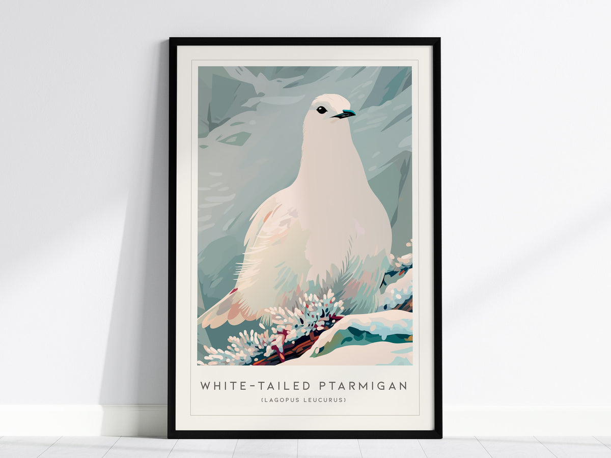 White-tailed Ptarmigan, Lagopus leucurus Poster | Alpine Bird Wall Art — framed wall art, 24x36 in
