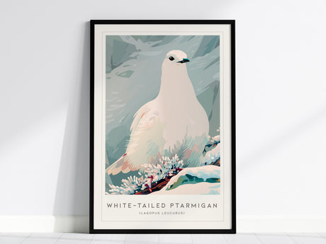 White-tailed Ptarmigan, Lagopus leucurus Poster | Alpine Bird Wall Art — framed wall art, 24x36 in