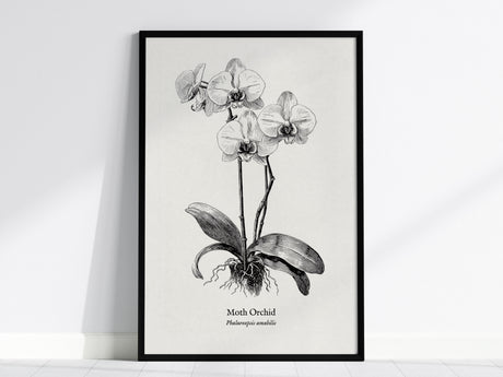 Feature 01 24X36