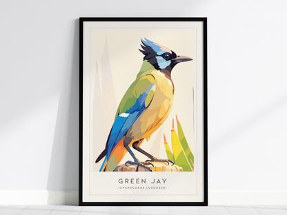 Green Jay, Cyanocorax luxuosus Poster | Tropical Bird Wall Art — framed wall art, 24x36 in