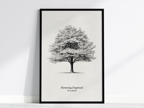Flowering Dogwood Poster | Vintage Cornus florida Botanical Illustration Wall Art — framed wall art, 24x36 in