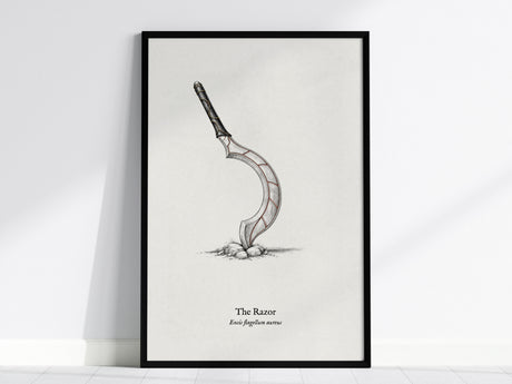 The Razor Poster | Ensis Flagellum Aureus Pen and Ink Print | Vintage Zoological Illustration Wall Art — framed wall art, 24x