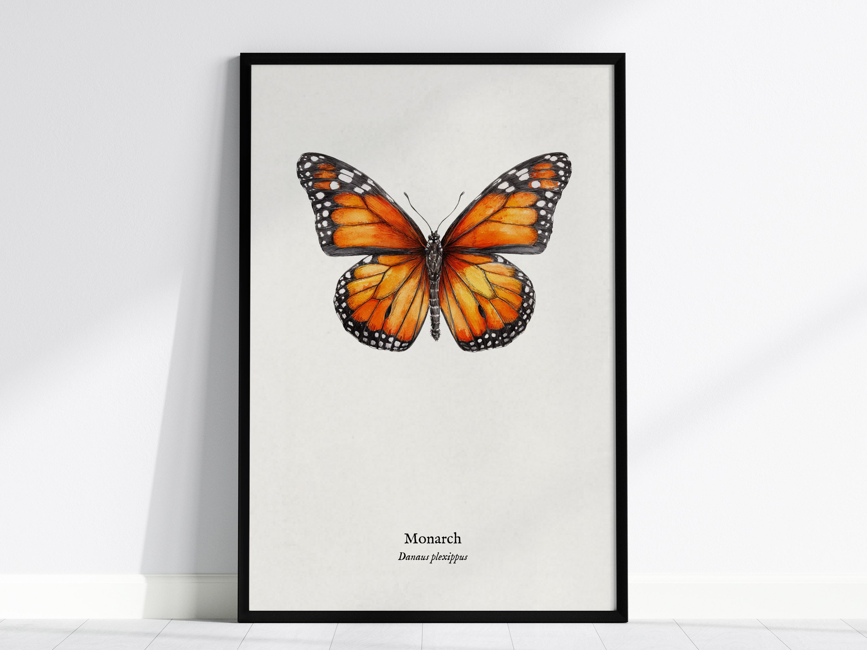 絵画 butterfly Monarch Butterfly Poster | Vintage Danaus Plexippus Zoological