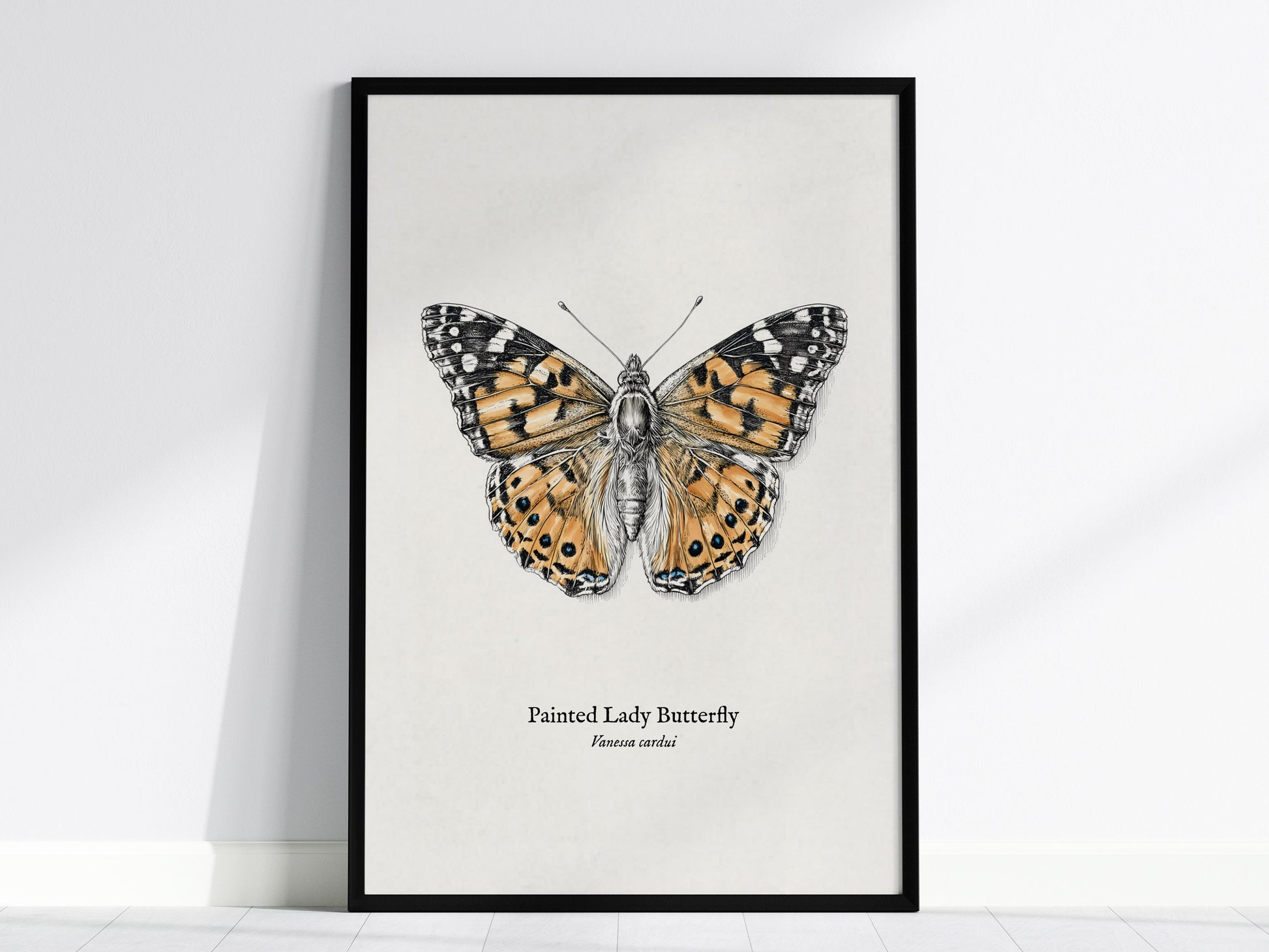 Painted Lady Butterfly Poster | Vintage Vanessa cardui Zoological Illustration Wall Art — framed wall art, 24x36 in
