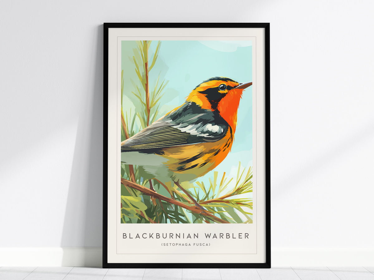Blackburnian Warbler, Setophaga fusca Poster | Fiery Songbird Nature Print Wall Art — framed wall art, 24x36 in