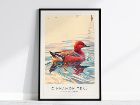 Cinnamon Teal, Spatula cyanoptera Poster | Vibrant Wetland Bird Wall Art — framed wall art, 24x36 in