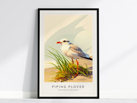 Piping Plover, Charadrius melodus Poster | Shorebird Nature Poster Wall Art — framed wall art, 24x36 in