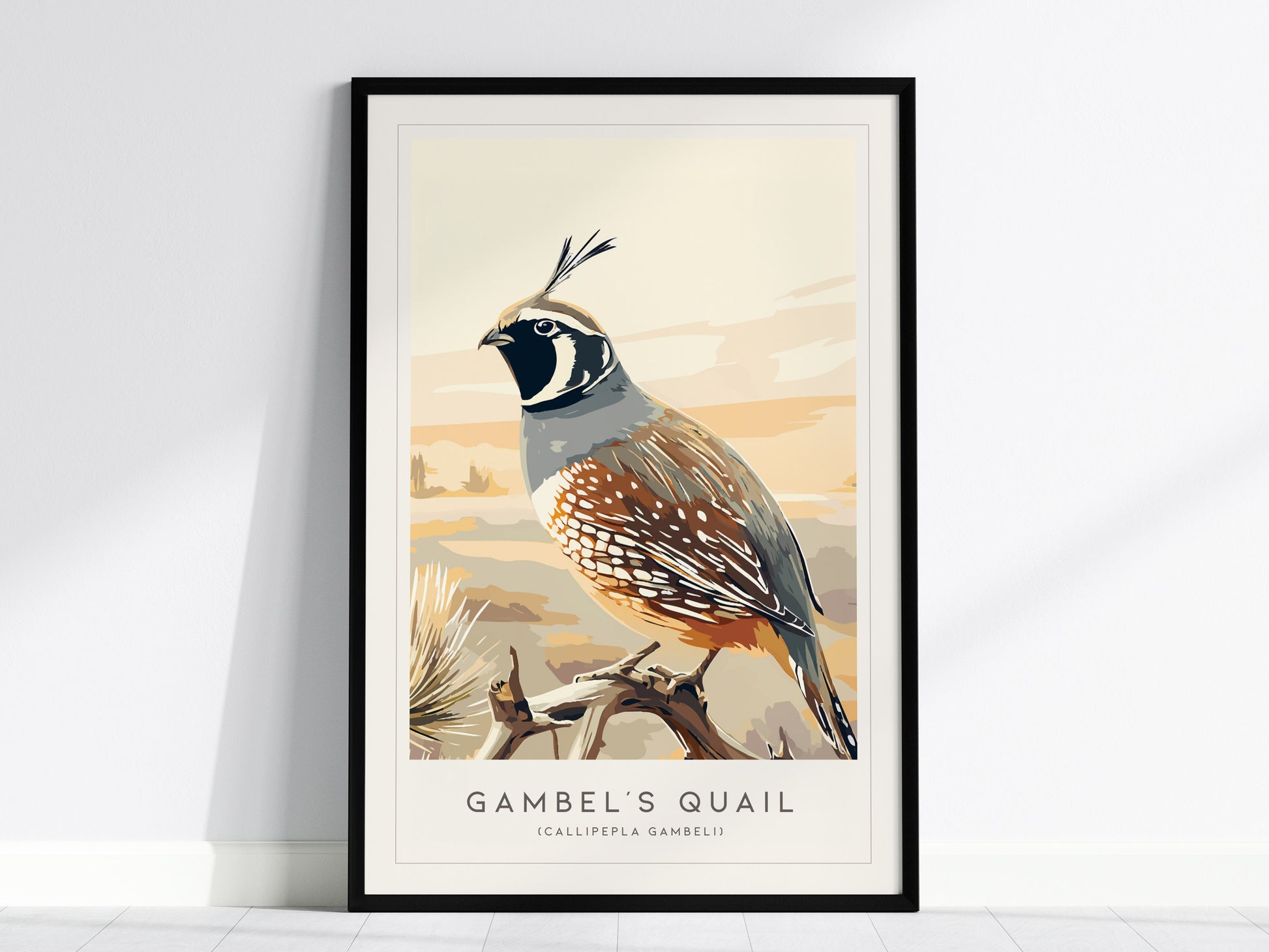 Gambel's Quail, Callipepla gambeli Poster | Desert Bird Wall Art Wildlife Print — framed wall art, 24x36 in