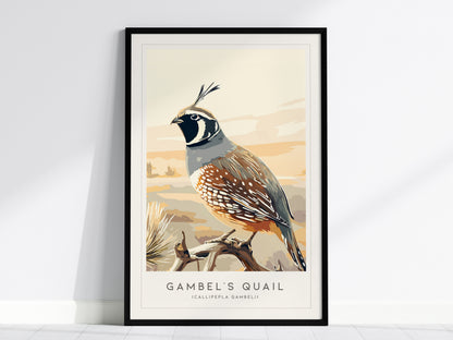 Gambel's Quail, Callipepla gambeli Poster | Desert Bird Wall Art Wildlife Print — framed wall art, 24x36 in