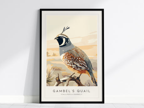 Gambel's Quail, Callipepla gambeli Poster | Desert Bird Wall Art Wildlife Print — framed wall art, 24x36 in