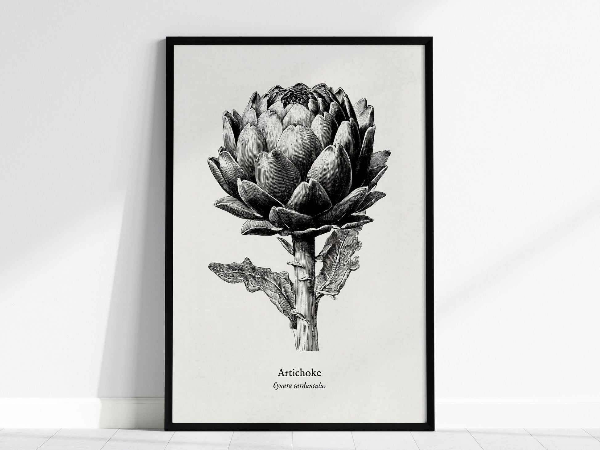 Feature 01 24X36