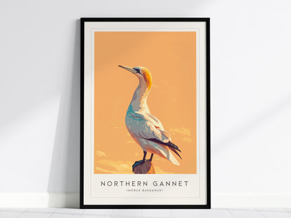 Northern Gannet, Morus bassanus Poster | Striking Seabird Wildlife Print Wall Art — framed wall art, 24x36 in