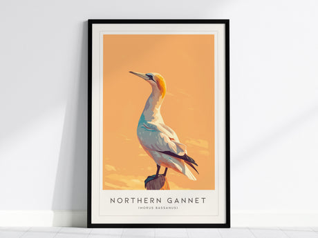 Northern Gannet, Morus bassanus Poster | Striking Seabird Wildlife Print Wall Art — framed wall art, 24x36 in