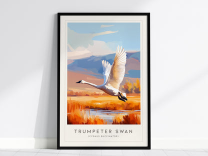 Trumpeter Swan Poster | Elegant Waterbird in Winter Calm Wall Art — framed wall art, 24x36 in