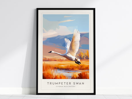 Trumpeter Swan Poster | Elegant Waterbird in Winter Calm Wall Art — framed wall art, 24x36 in