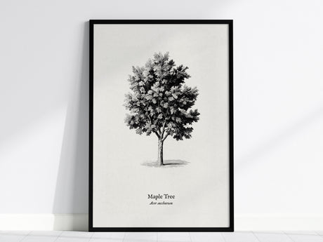 Maple Tree Poster | Acer saccharum Pen and Ink Print | Vintage Botanical Illustration Wall Art — framed wall art, 24x36 in