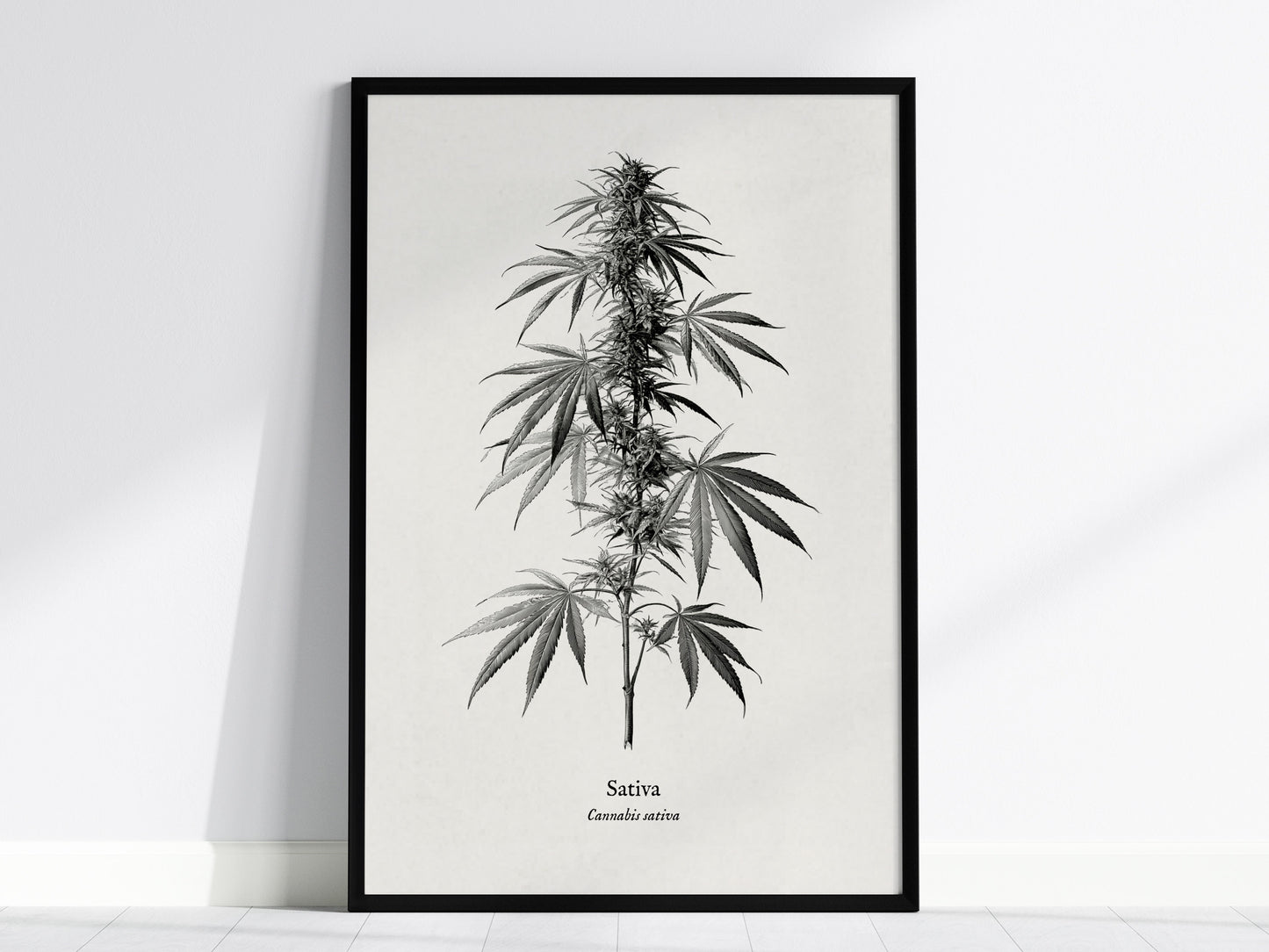 Feature 01 24X36
