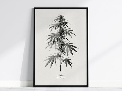 Feature 01 24X36