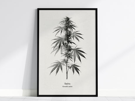 Feature 01 24X36
