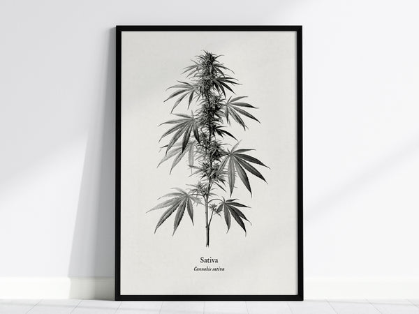Feature 01 24X36