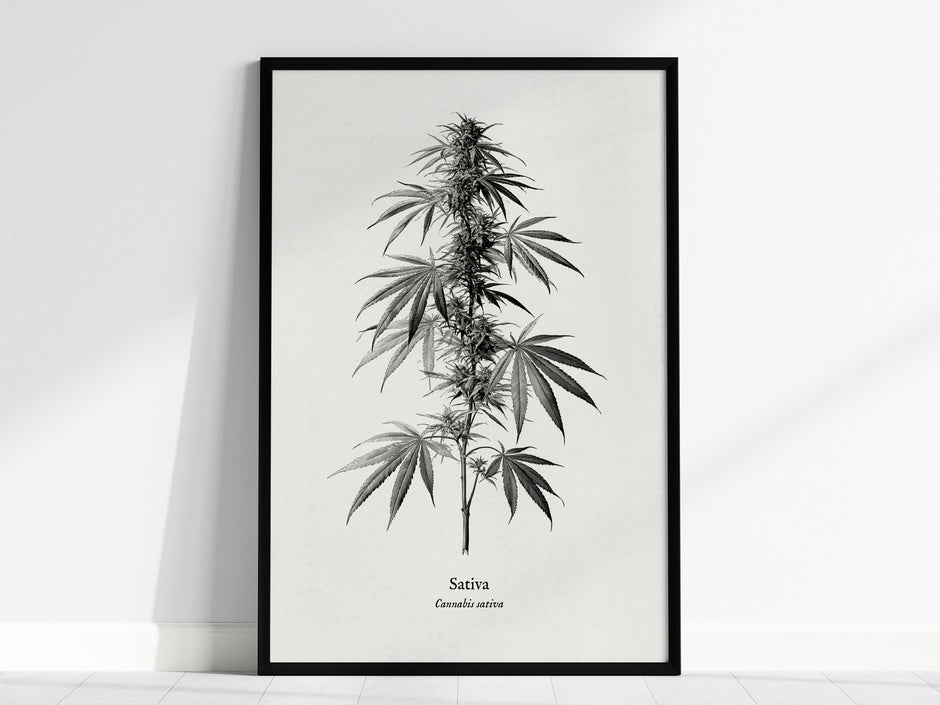 Feature 01 24X36