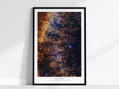 Feature 01 24X36