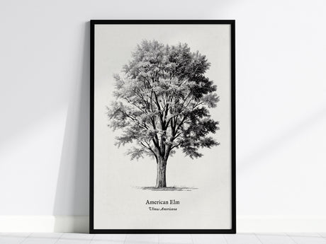 Feature 01 24X36