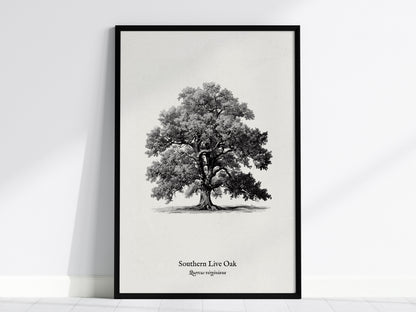 Feature 01 24X36