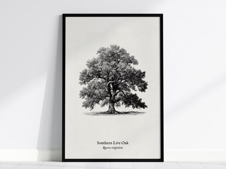Feature 01 24X36