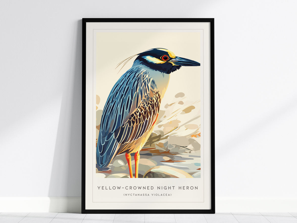 Yellow-crowned Night Heron, Nyctanassa violacea Poster | Elegant Wading Bird Wall Art — framed wall art, 24x36 in