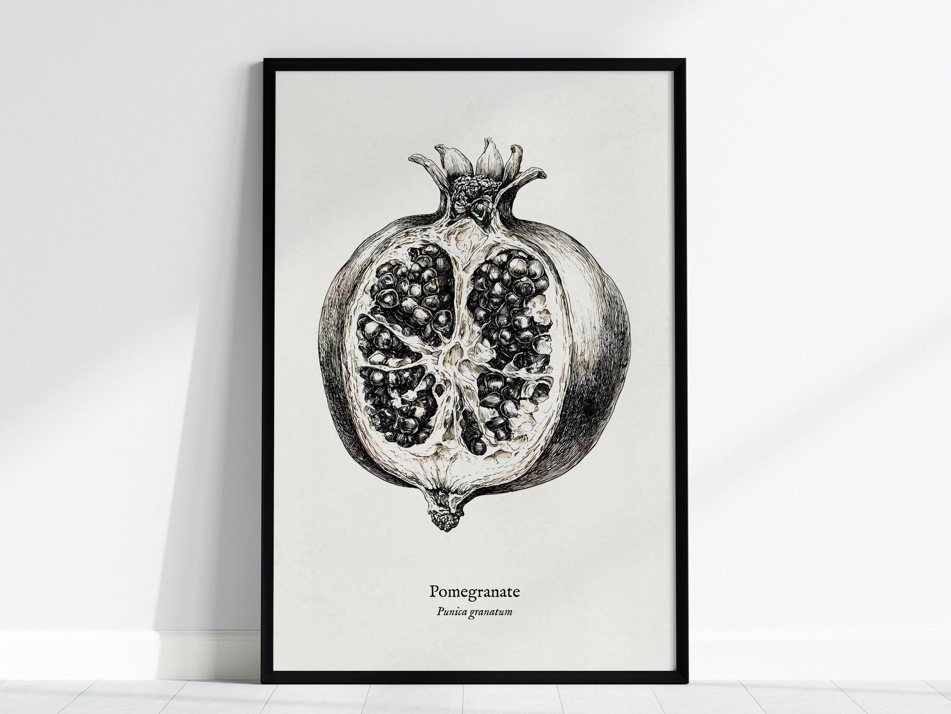 Pomegranate Poster | Vintage Punica granatum Botanical Illustration Wall Art — framed wall art, 24x36 in