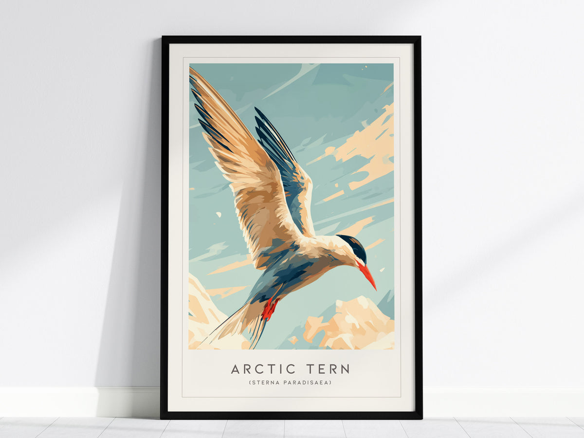 Arctic Tern, Sterna paradisaea Poster | Graceful Seabird Nature Poster Wall Art — framed wall art, 24x36 in