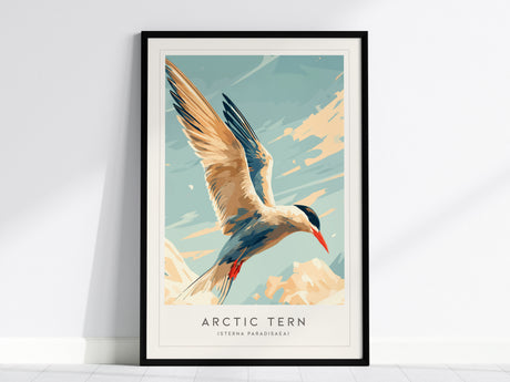Arctic Tern, Sterna paradisaea Poster | Graceful Seabird Nature Poster Wall Art — framed wall art, 24x36 in