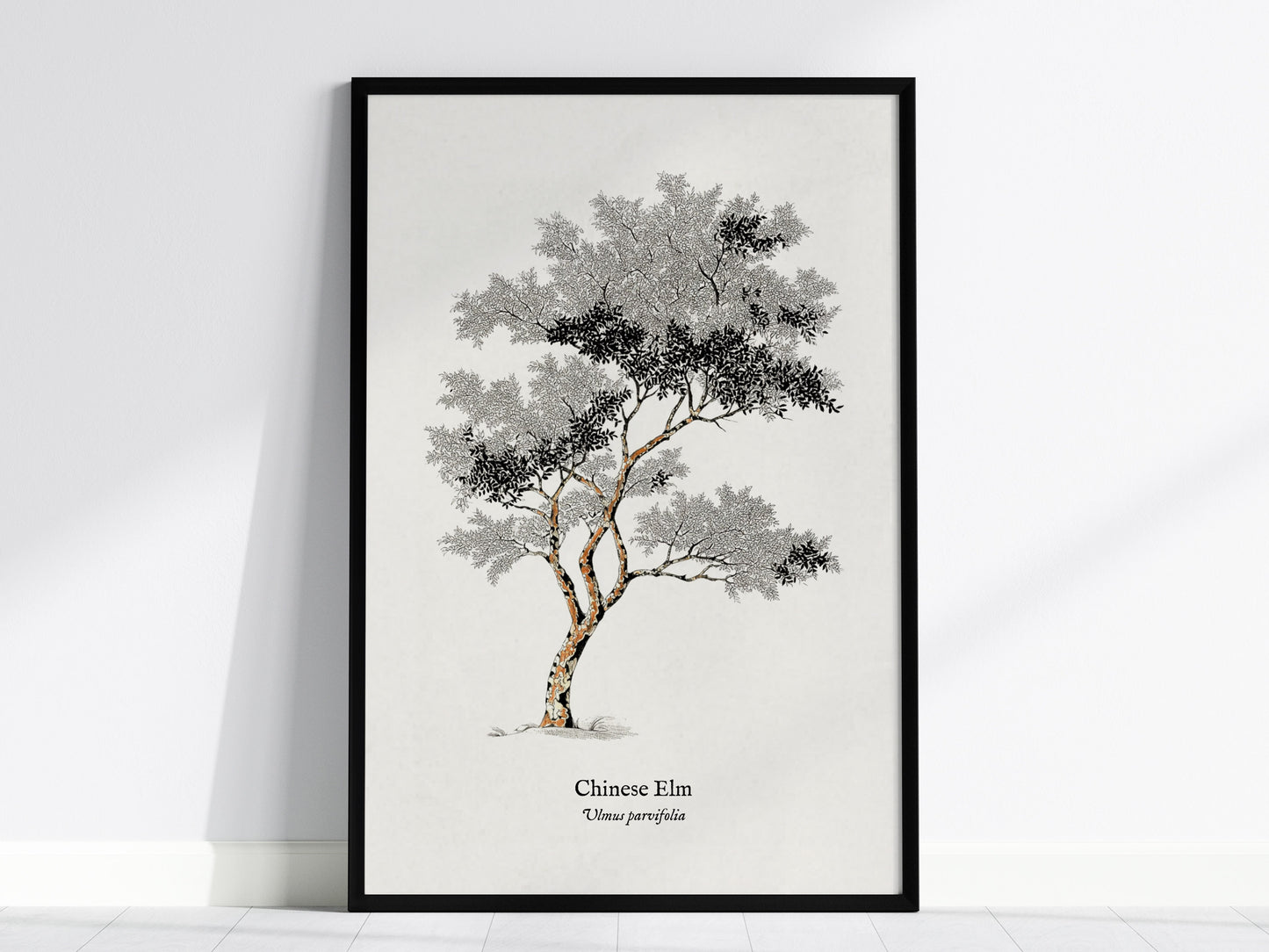 Feature 01 24X36
