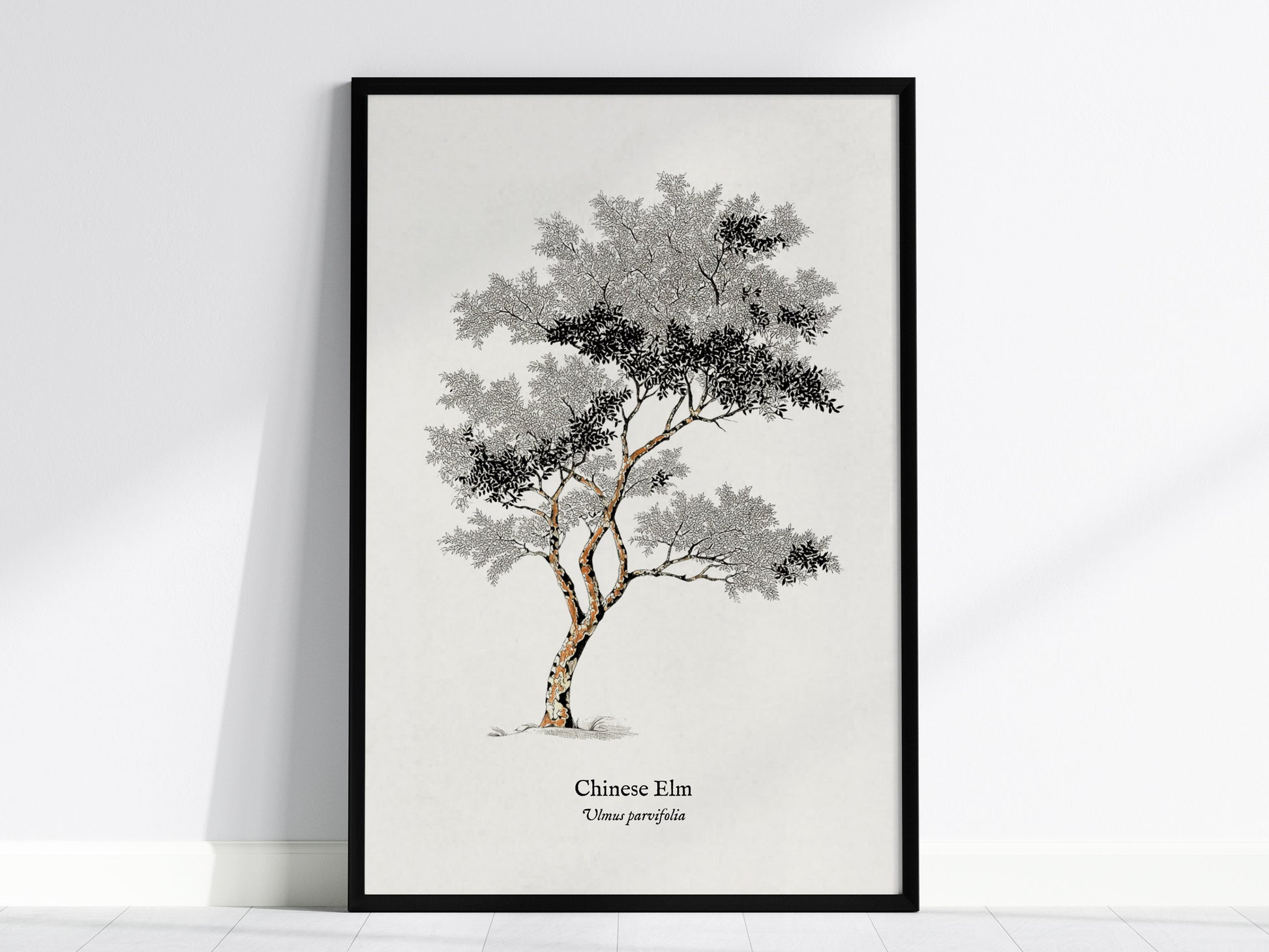 Feature 01 24X36