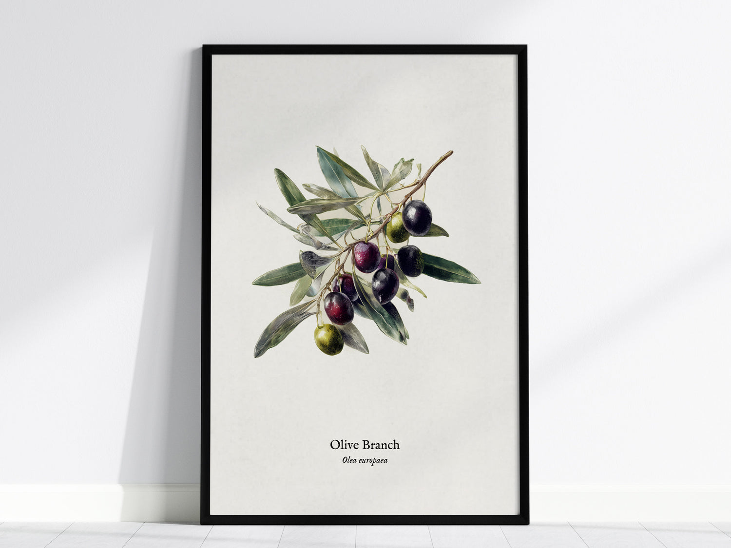 Olive Branch Poster | Vintage Olea europaea Botanical Illustration Wall Art — framed wall art, 24x36 in